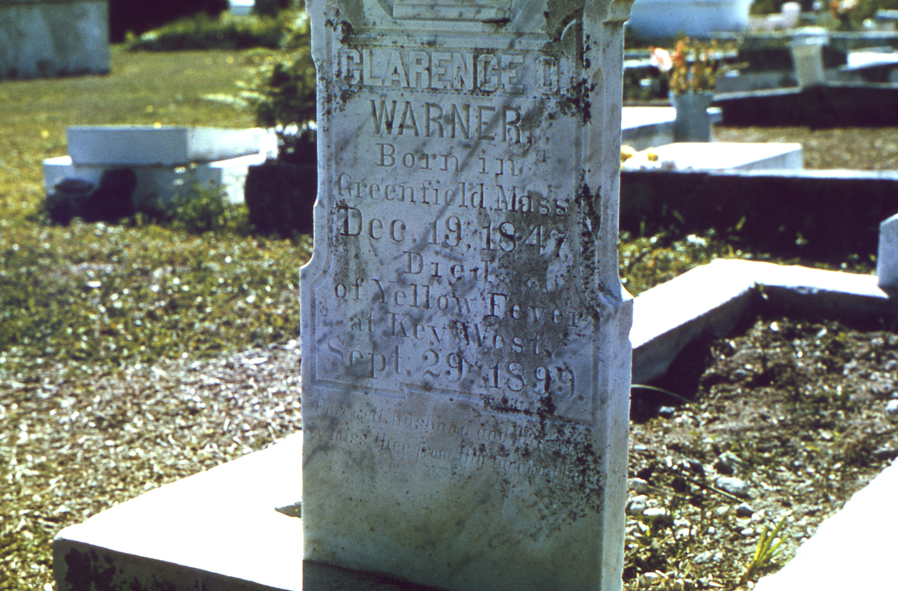 Yellow Fever Effects